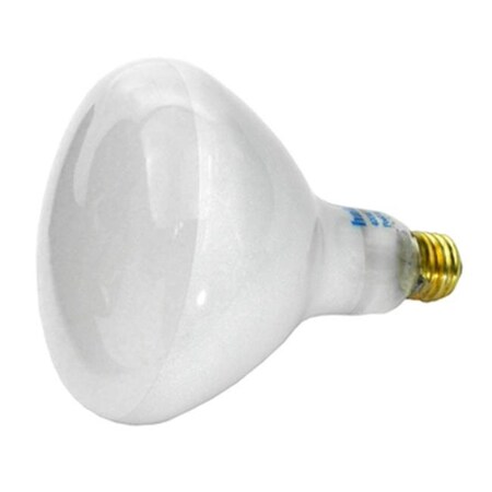 BetterBrand 400W 120V Pool Base Bulb - Medium